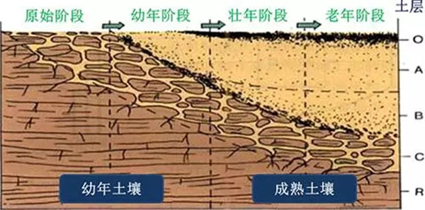 土壤養分檢測儀工作原理、技術和方法