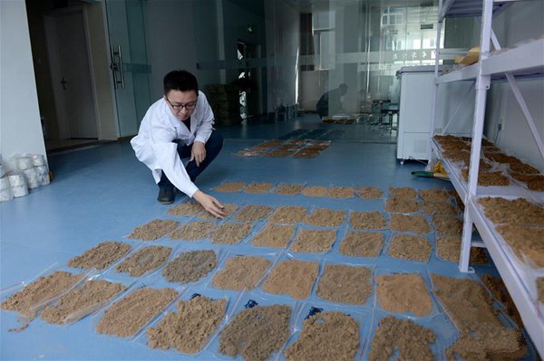 土壤酸堿度快速測量儀：多少錢及其原理、技術功能